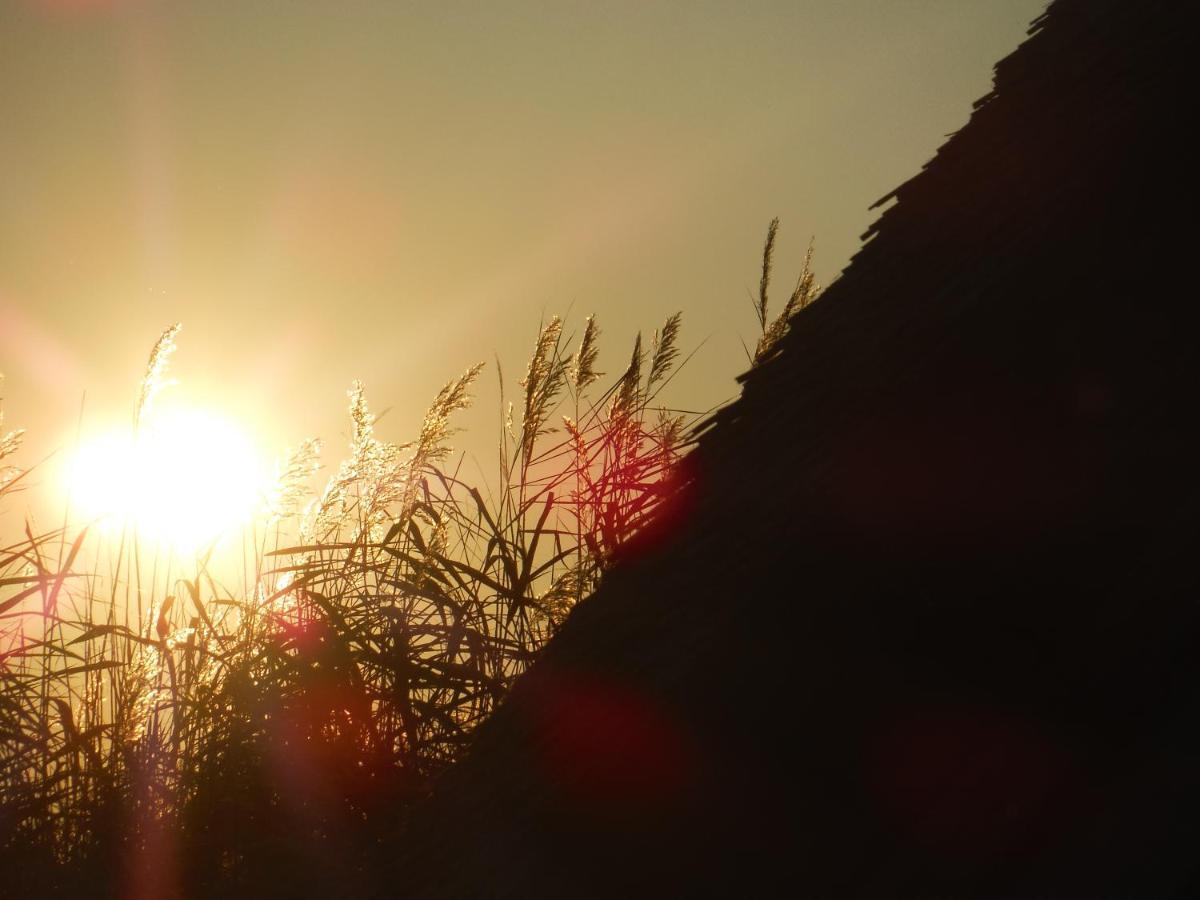 Pfahlbau Sunset I Toplage Elektroboot Inklusive Руст Экстерьер фото